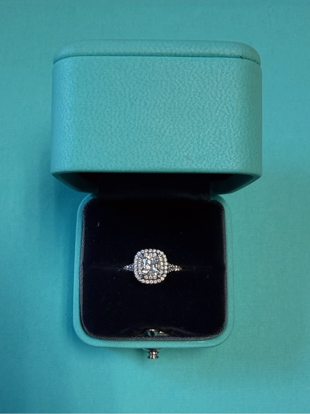 Tiffany & Co. Soleste Cushion
Halo Engagement Ring